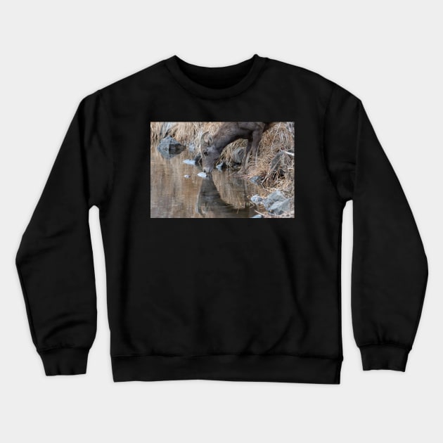 Sipping Water Crewneck Sweatshirt by gdb2